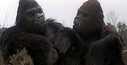 Immagine tratta da King Kong 2